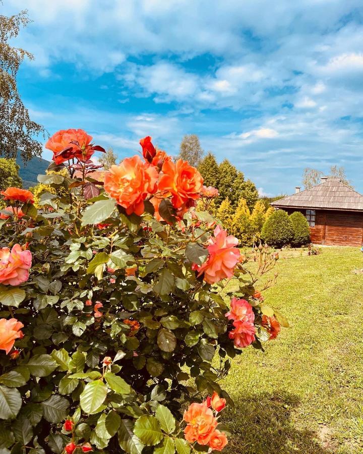 Hotel Etno Selo Vranesa Zlatar Nova Varoš Zewnętrze zdjęcie